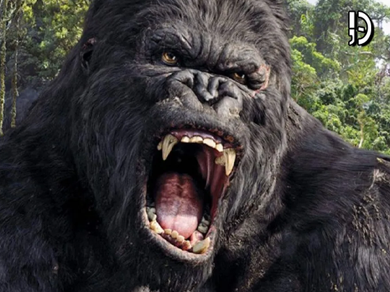 Série live-action de “King Kong” está em desenvolvimento na Disney+