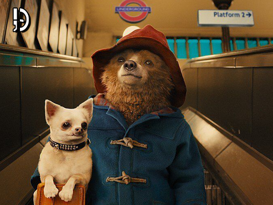 “Paddington 3”: Antonio Banderas e Olivia Colman entram para o elenco