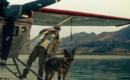 Paramount divulga trailer de “Coração Selvagem”, suspense com Brad Pitt